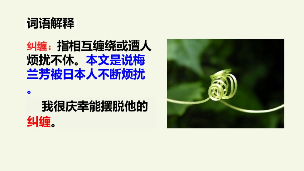 四年级语文上册 第七单元 梅兰芳蓄须PPT课件9