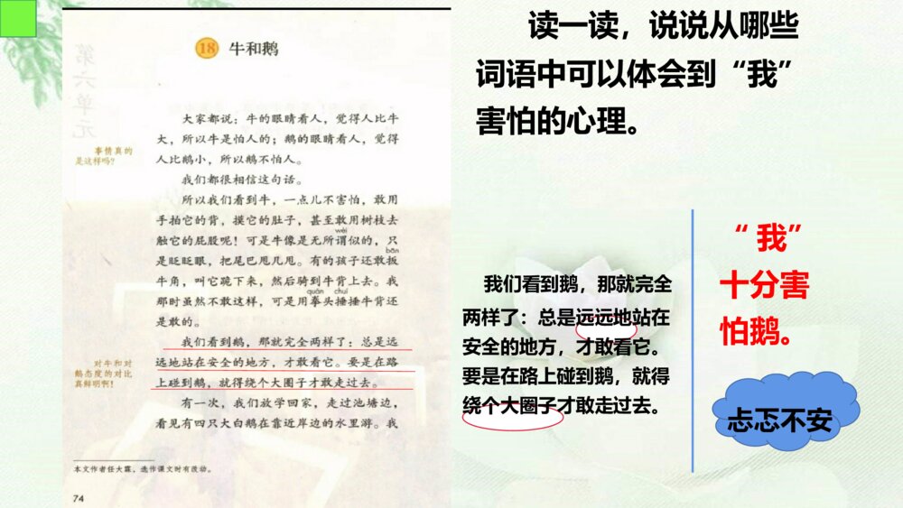 人教版语文四年级上册第六单元 牛和鹅 PPT课件6