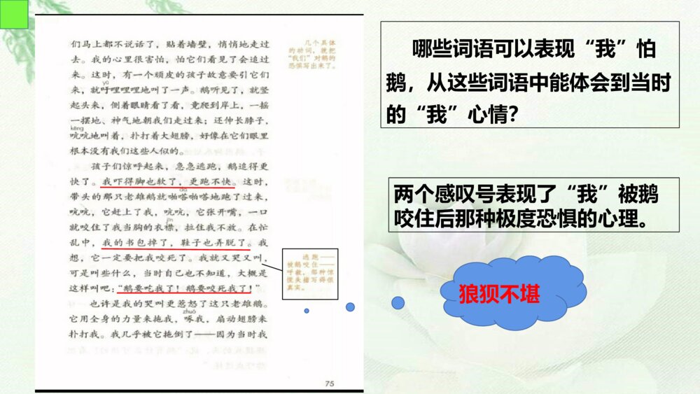 人教版语文四年级上册第六单元 牛和鹅 PPT课件8
