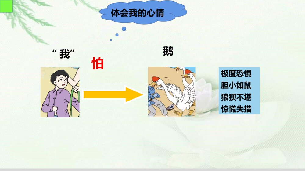 人教版语文四年级上册第六单元 牛和鹅 PPT课件9