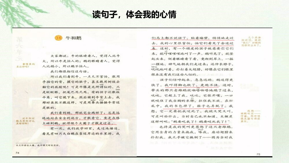 人教版语文四年级上册第六单元 牛和鹅 PPT课件10