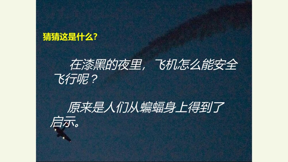 四年级语文上册 第二单元 6 蝙蝠和雷达 PPT课件9