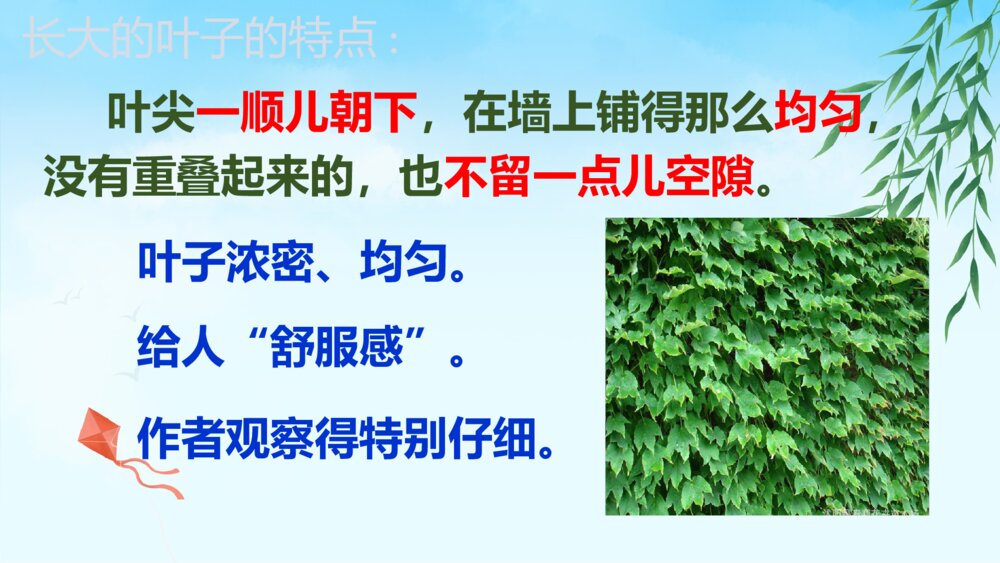 部编版四年级语文上册 第三单元 10 爬山虎的脚 PPT课件9