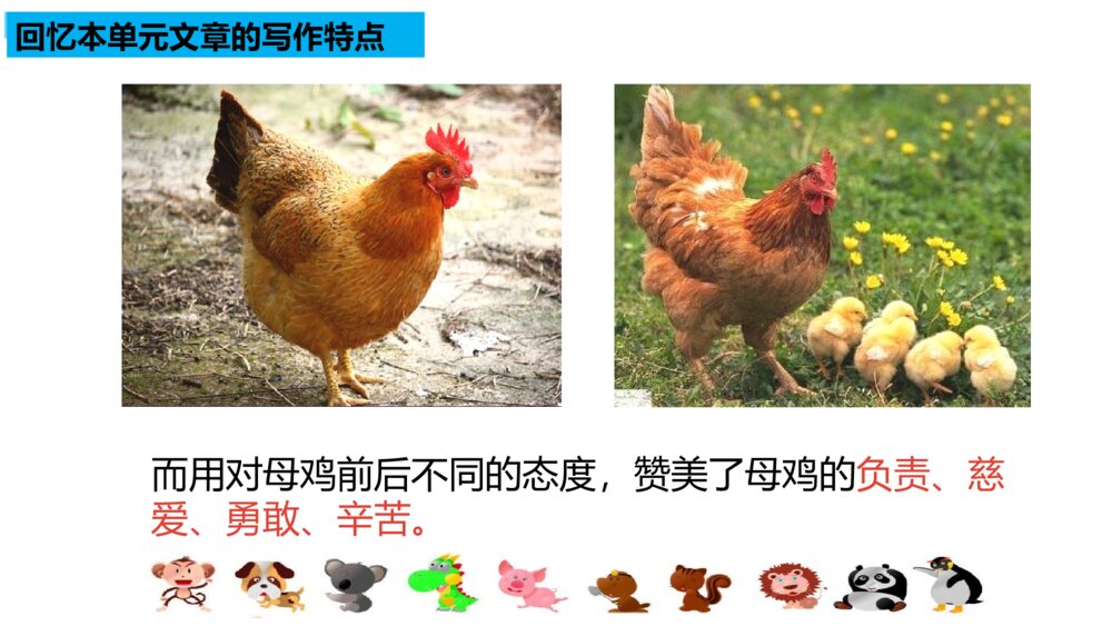 四年级语文下册部编版 习作:我的动物朋友PPT课件10