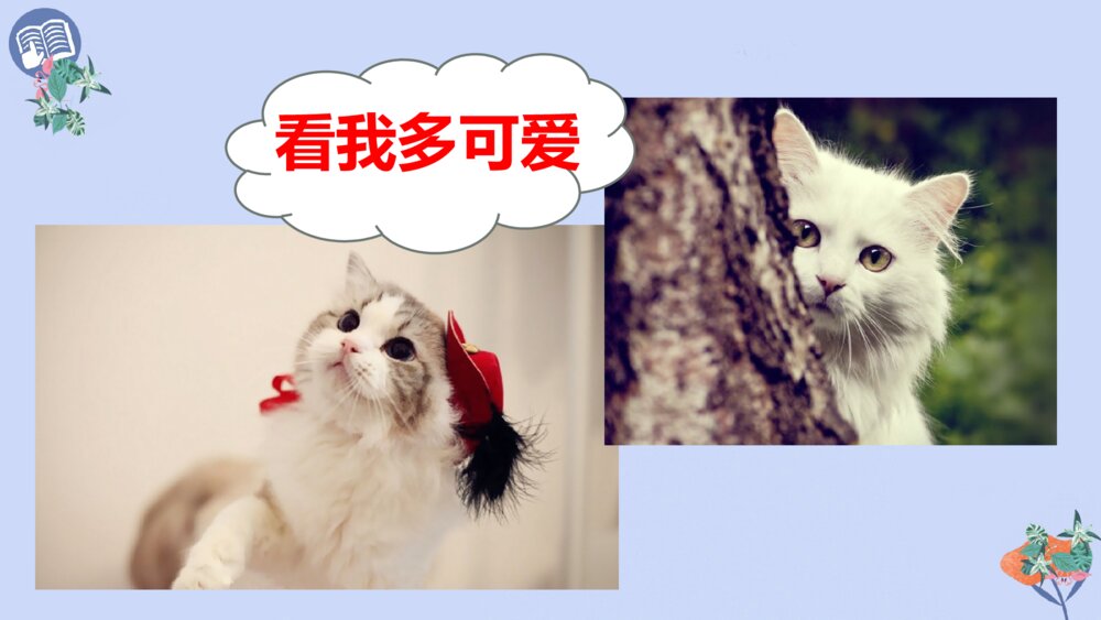 四年级语文下册 第四单元 13 猫PPT课件4