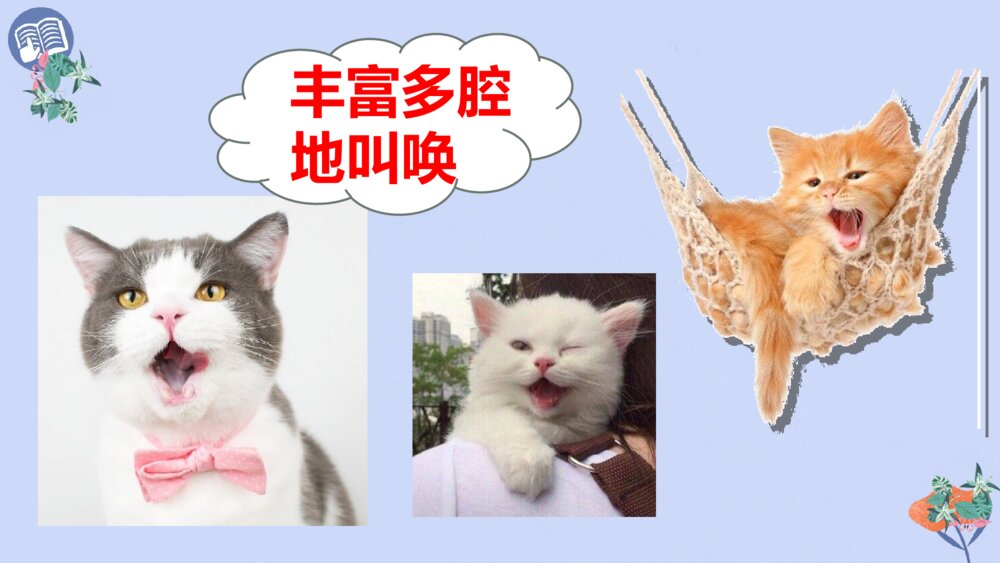 四年级语文下册 第四单元 13 猫PPT课件5