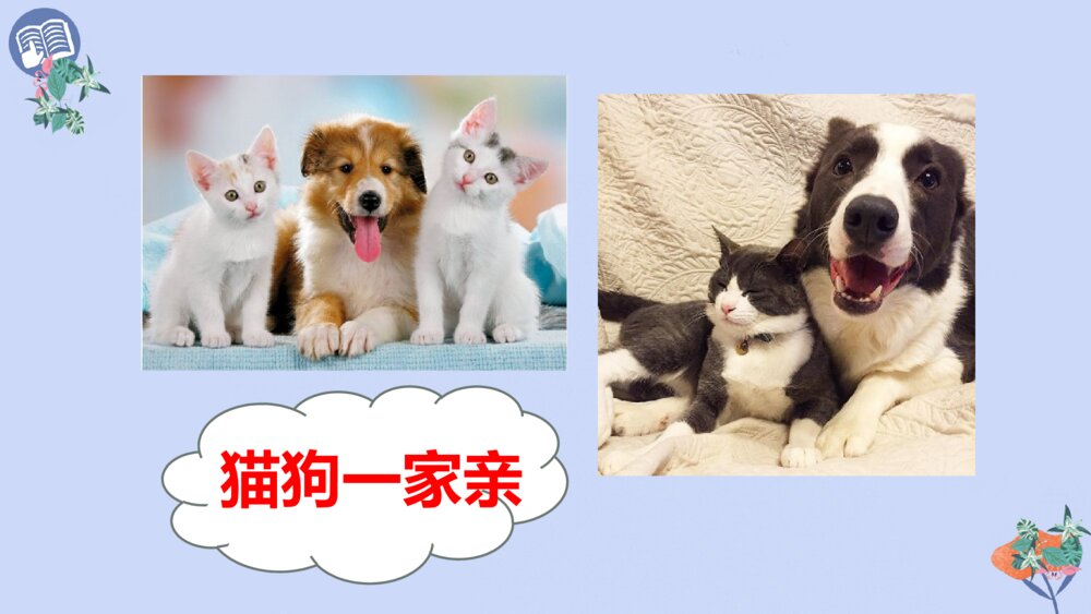 四年级语文下册 第四单元 13 猫PPT课件6