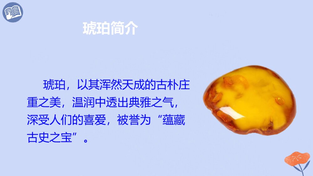 四年级语文下册 第二单元 琥珀.PPT课件pptx3