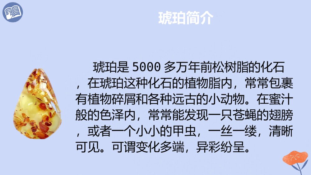 四年级语文下册 第二单元 琥珀.PPT课件pptx4