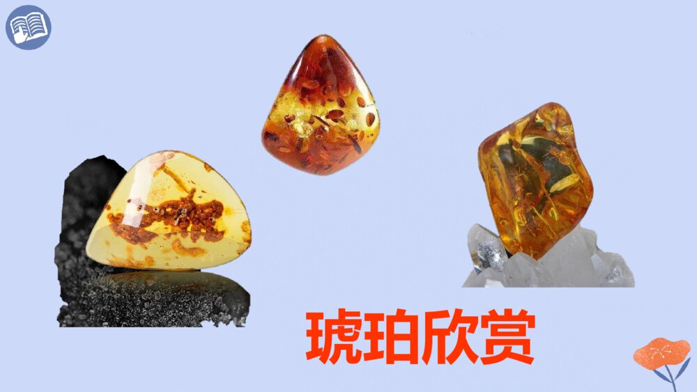 四年级语文下册 第二单元 琥珀.PPT课件pptx5