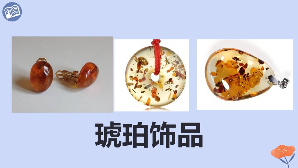 四年级语文下册 第二单元 琥珀.PPT课件pptx6