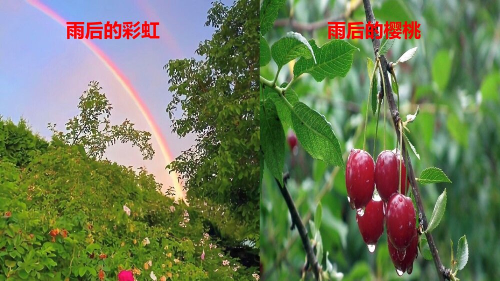 四年级语文下册 第三单元12《在天晴了的时候》PPT课件4
