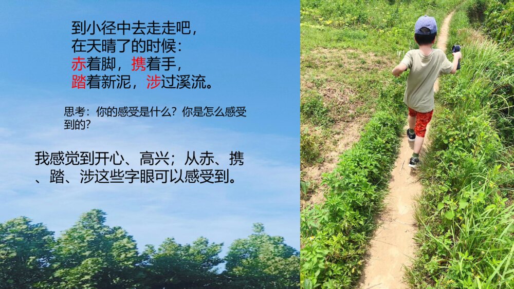 四年级语文下册 第三单元12《在天晴了的时候》PPT课件10