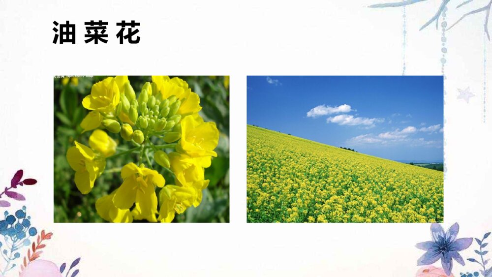 四年级部编版语文下册 古诗三首 宿新市徐公店PPT课件8