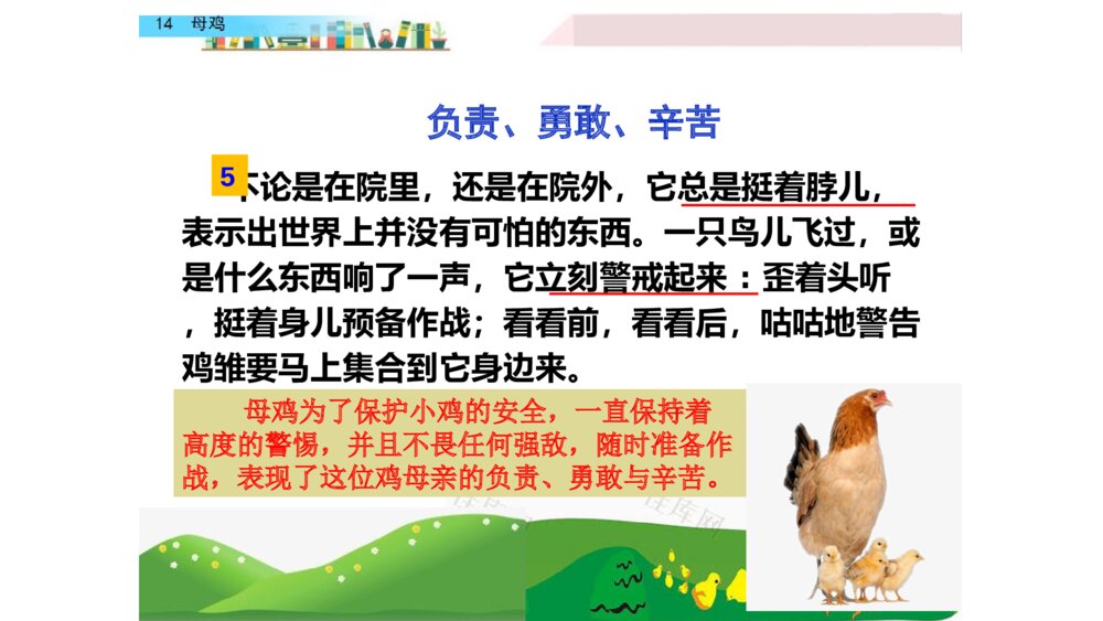 四年级语文下册 第四单元 14.母鸡PPT课件8