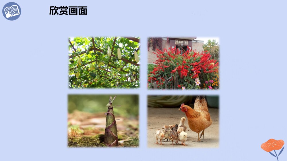四年级语文下册 第一单元 2、乡下人家 PPT课件9
