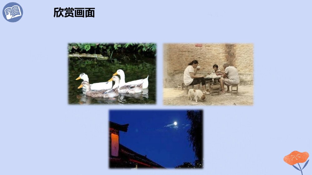 四年级语文下册 第一单元 2、乡下人家 PPT课件10