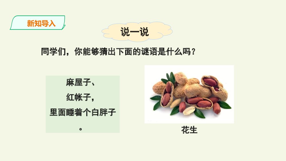 五年级语文上册 第一单元 落花生 PPT课件3