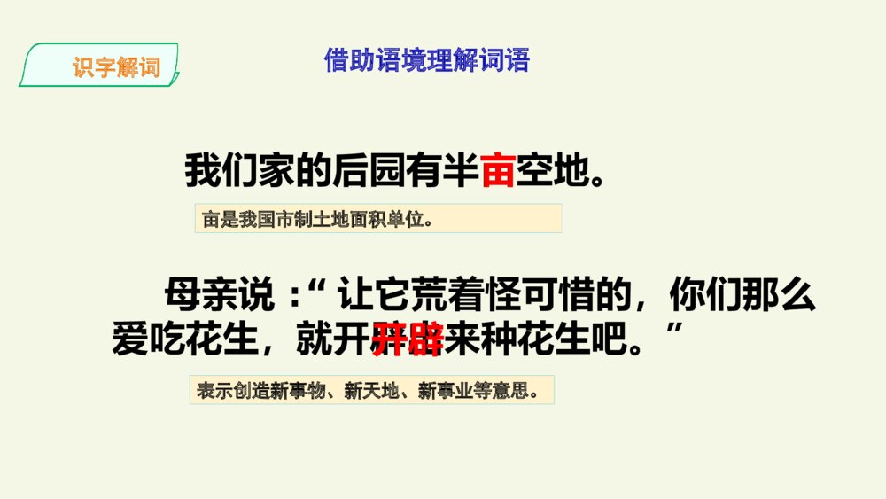 五年级语文上册 第一单元 落花生 PPT课件10