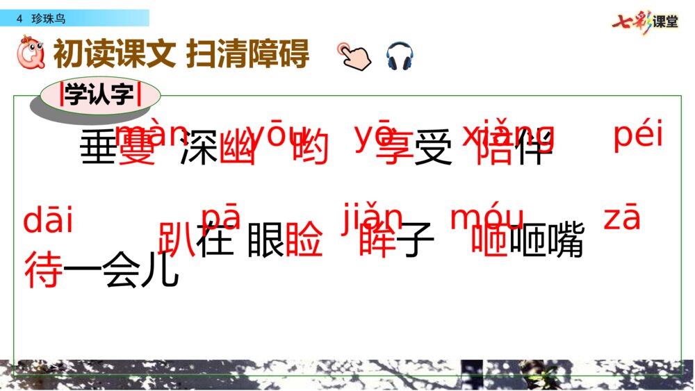 五年级语文上册 第一单元 珍珠鸟PPT课件3