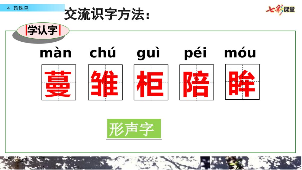 五年级语文上册 第一单元 珍珠鸟PPT课件4