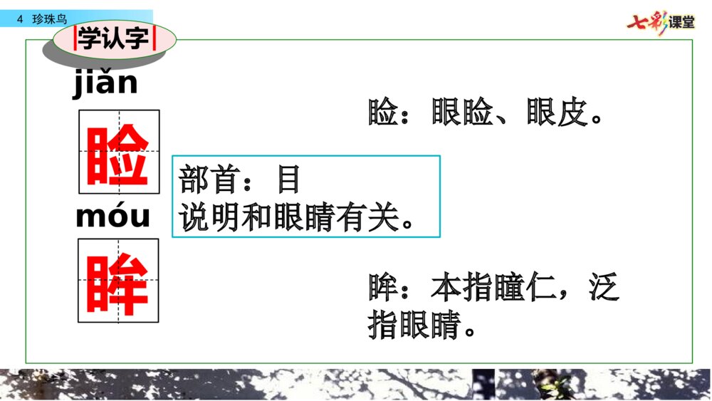 五年级语文上册 第一单元 珍珠鸟PPT课件6