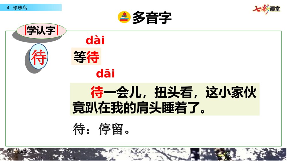 五年级语文上册 第一单元 珍珠鸟PPT课件7