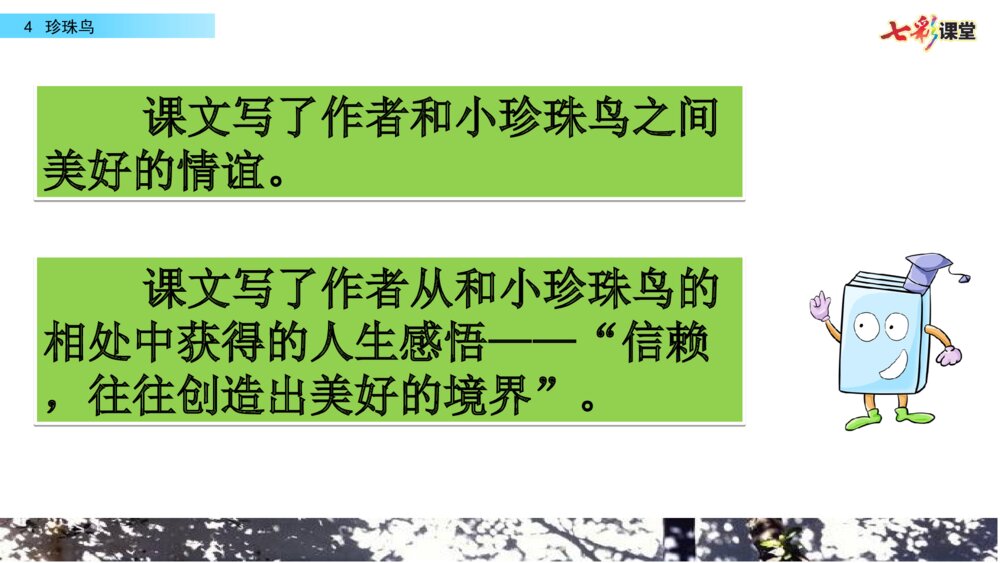 五年级语文上册 第一单元 珍珠鸟PPT课件10