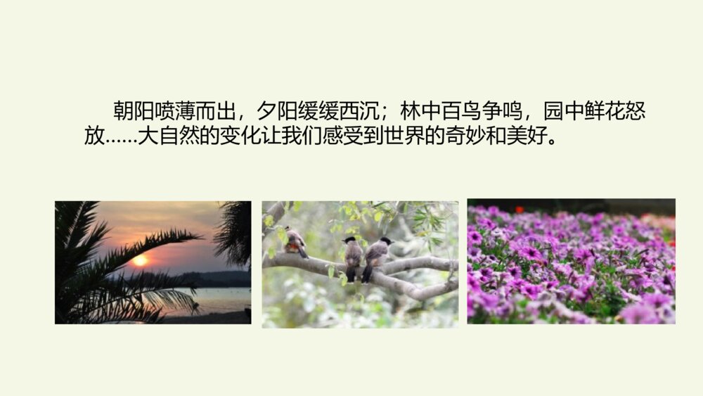 五年级语文上册 第七单元 习作:_____即景PPT课件2