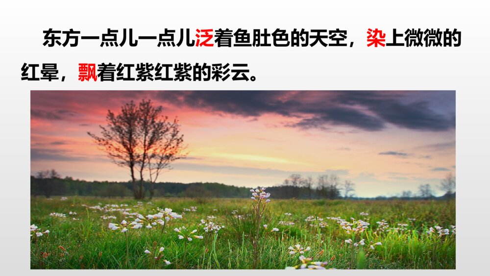小学五年级语文上册 第七单元 四季之美PPT课件4