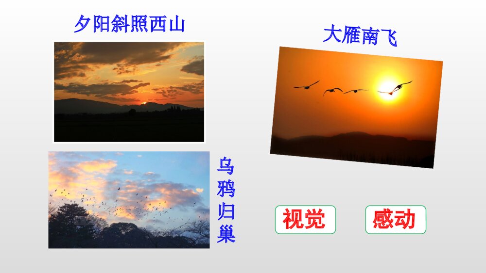 小学五年级语文上册 第七单元 四季之美PPT课件10
