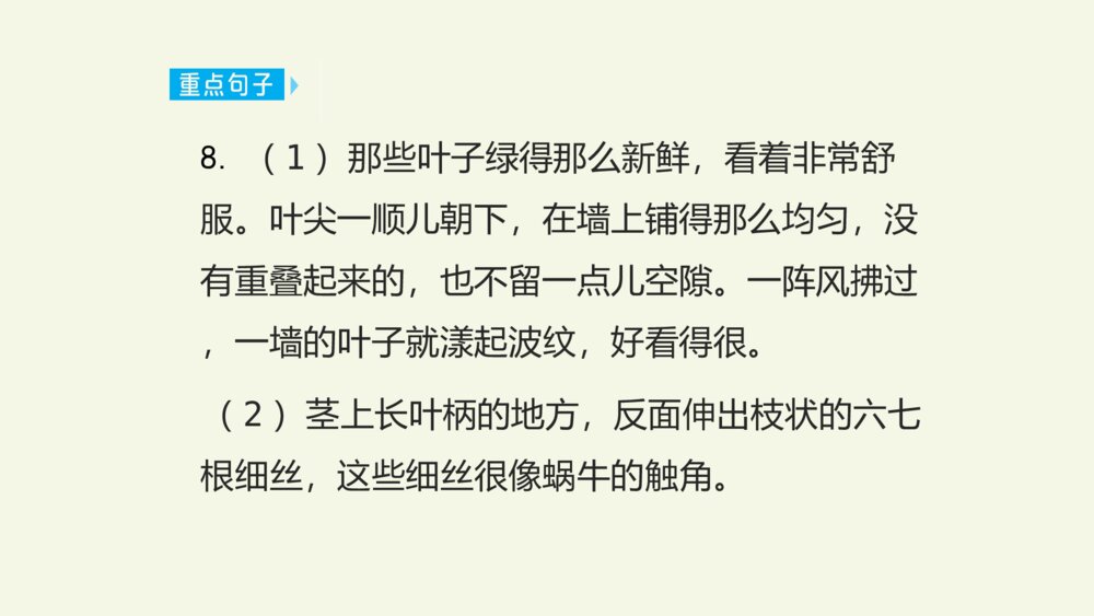 五年级语文上册 第三单元 复习与测试课件PPT9