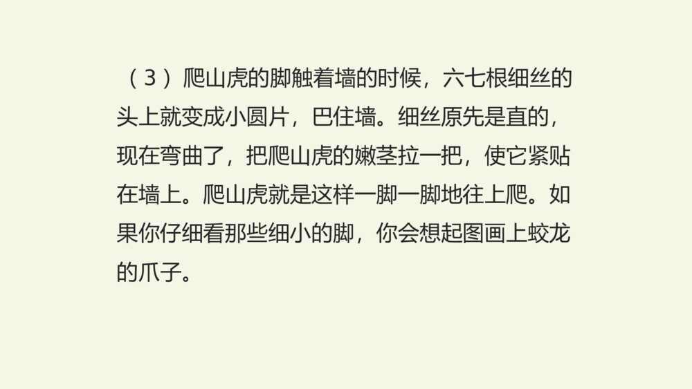 五年级语文上册 第三单元 复习与测试课件PPT10