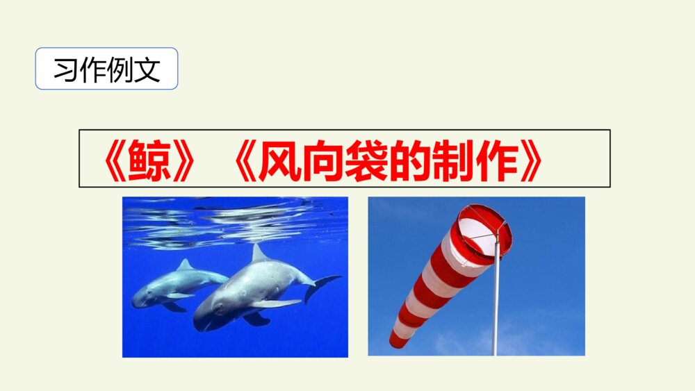 五年级语文上册 第五单元 习作例文PPT课件2