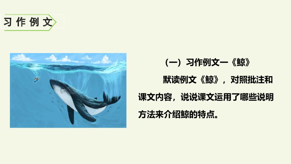 五年级语文上册 第五单元 习作例文PPT课件5