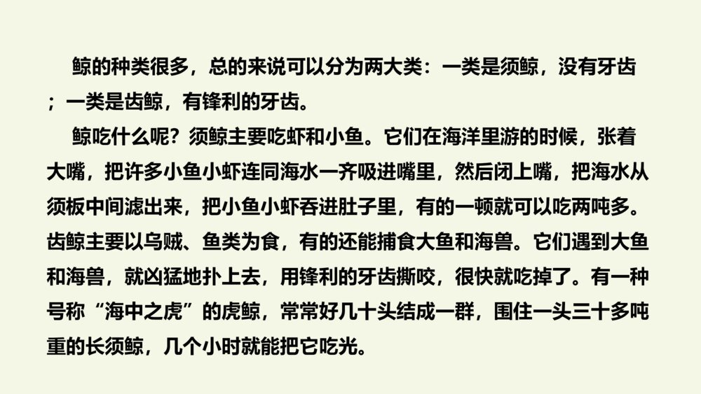 五年级语文上册 第五单元 习作例文PPT课件7