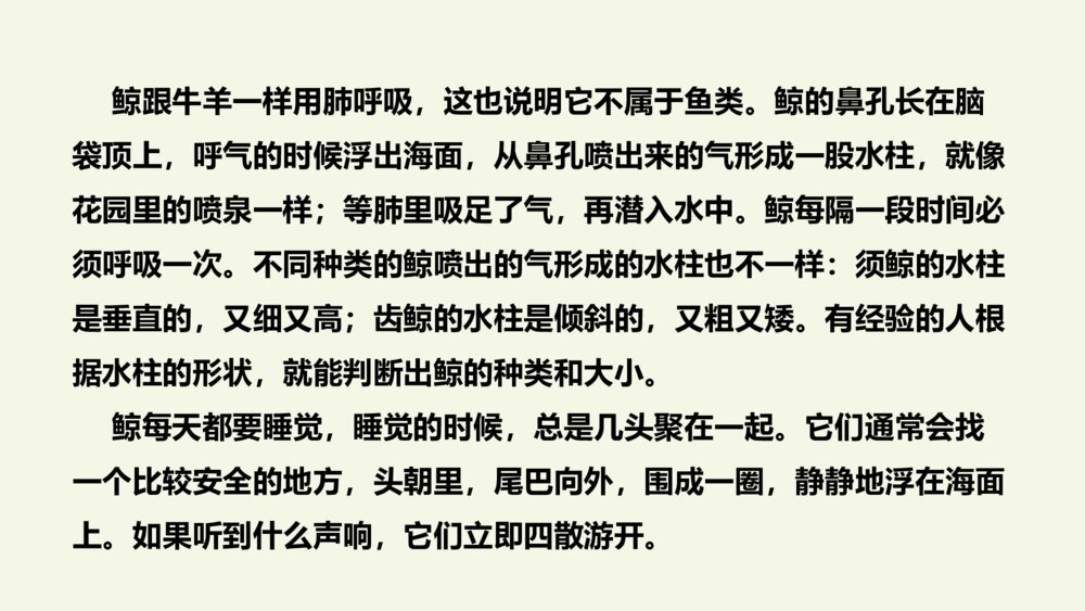 五年级语文上册 第五单元 习作例文PPT课件8