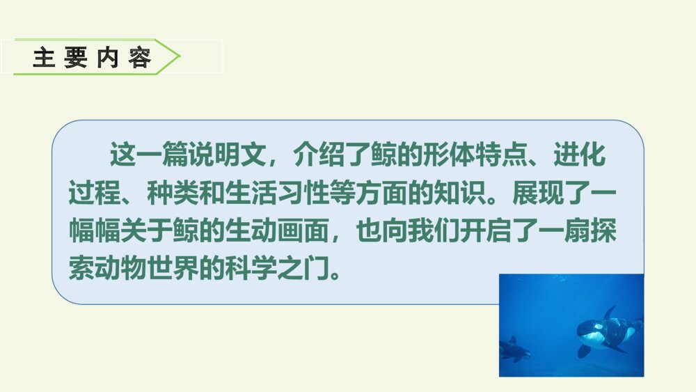 五年级语文上册 第五单元 习作例文PPT课件10