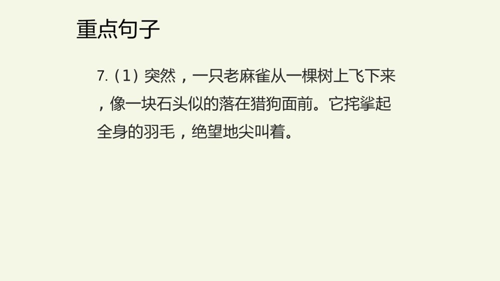 五年级语文上册 第五单元 复习与测试课件PPT9