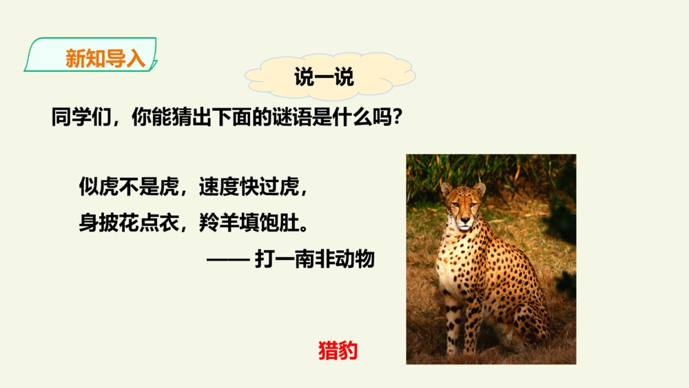 小学五年级语文上册 第二单元 什么比猎豹的速度更快PPT课件3
