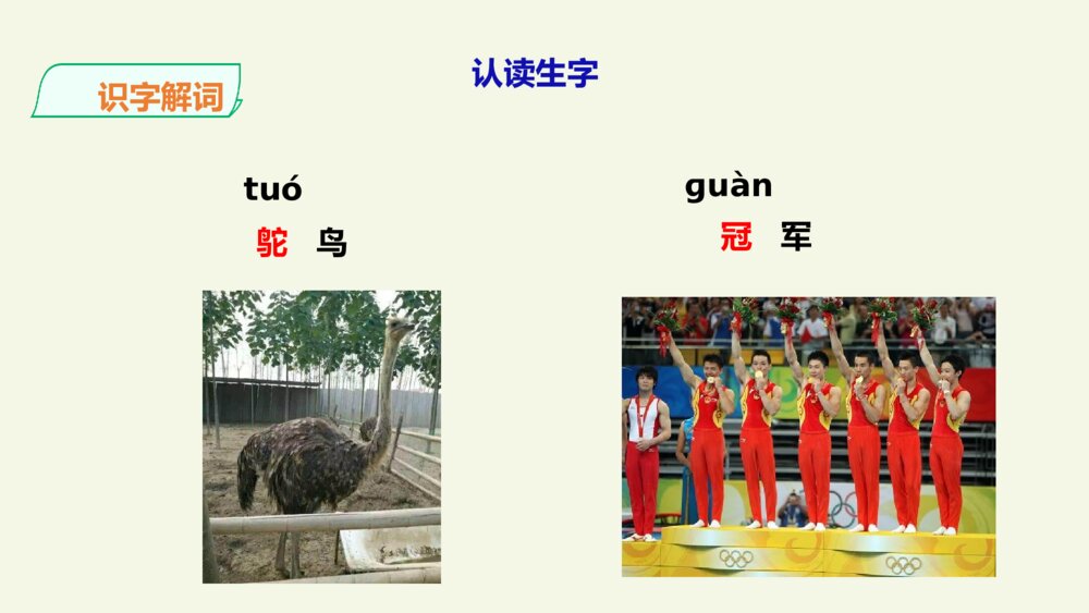 小学五年级语文上册 第二单元 什么比猎豹的速度更快PPT课件7