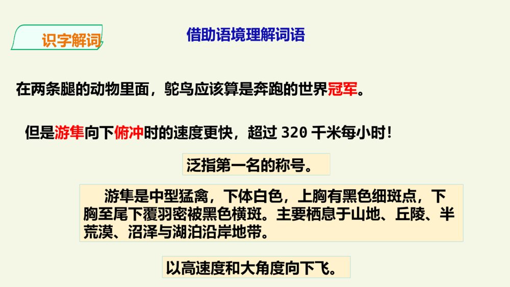 小学五年级语文上册 第二单元 什么比猎豹的速度更快PPT课件10