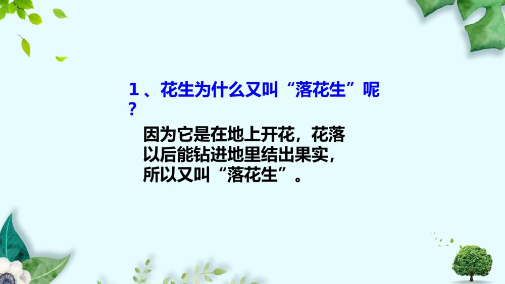 部编版五年级语文上册课件PPT 落花生3