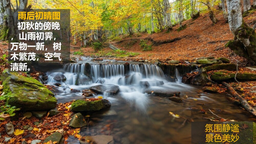 五年级语文上册 古诗三首《山居秋暝》PPT课件8