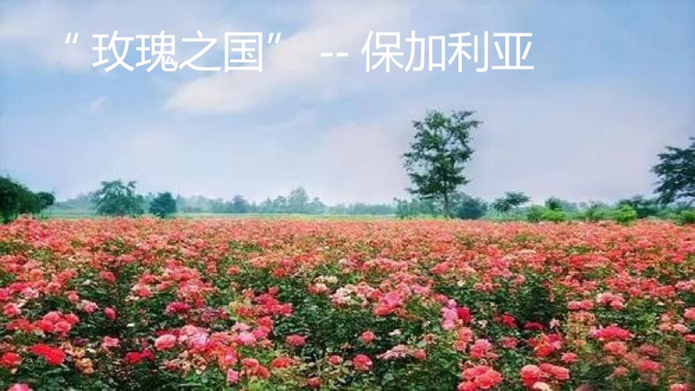 五年级语文下册 第七单元《牧场之国》PPT课件3