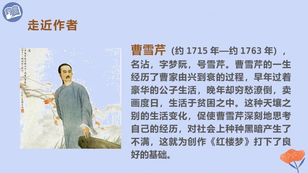 五年级语文下册 红楼春趣PPT课件4