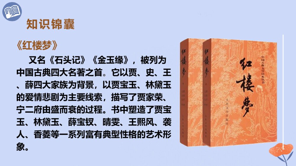 五年级语文下册 红楼春趣PPT课件5