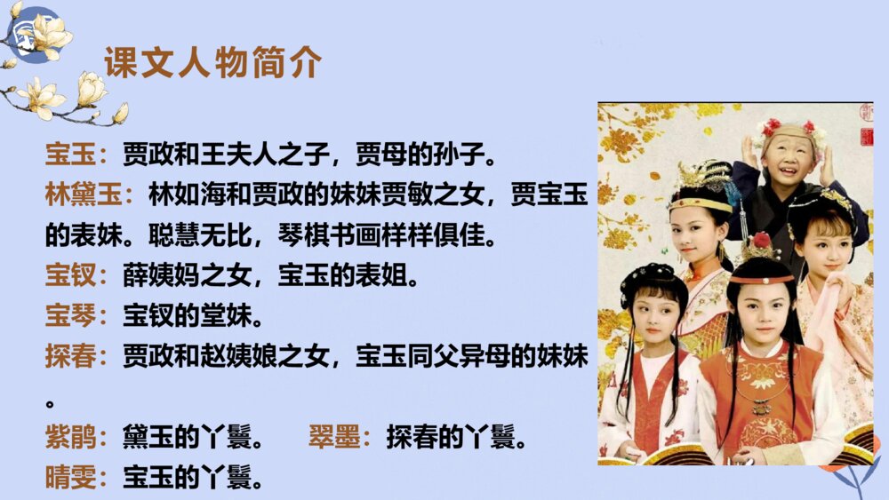 五年级语文下册 红楼春趣PPT课件6
