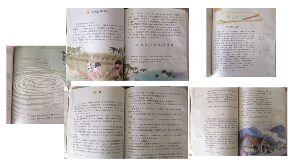 六年级语文上册 第五单元 围绕中心意思写(习作)PPT课件2