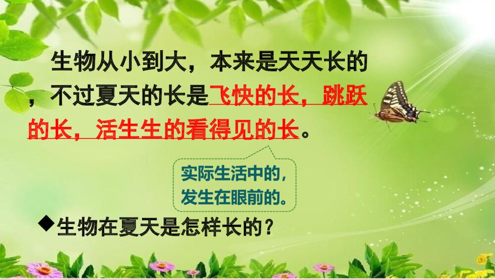 小学语文六年级上册《夏天里的成长》PPT课件6